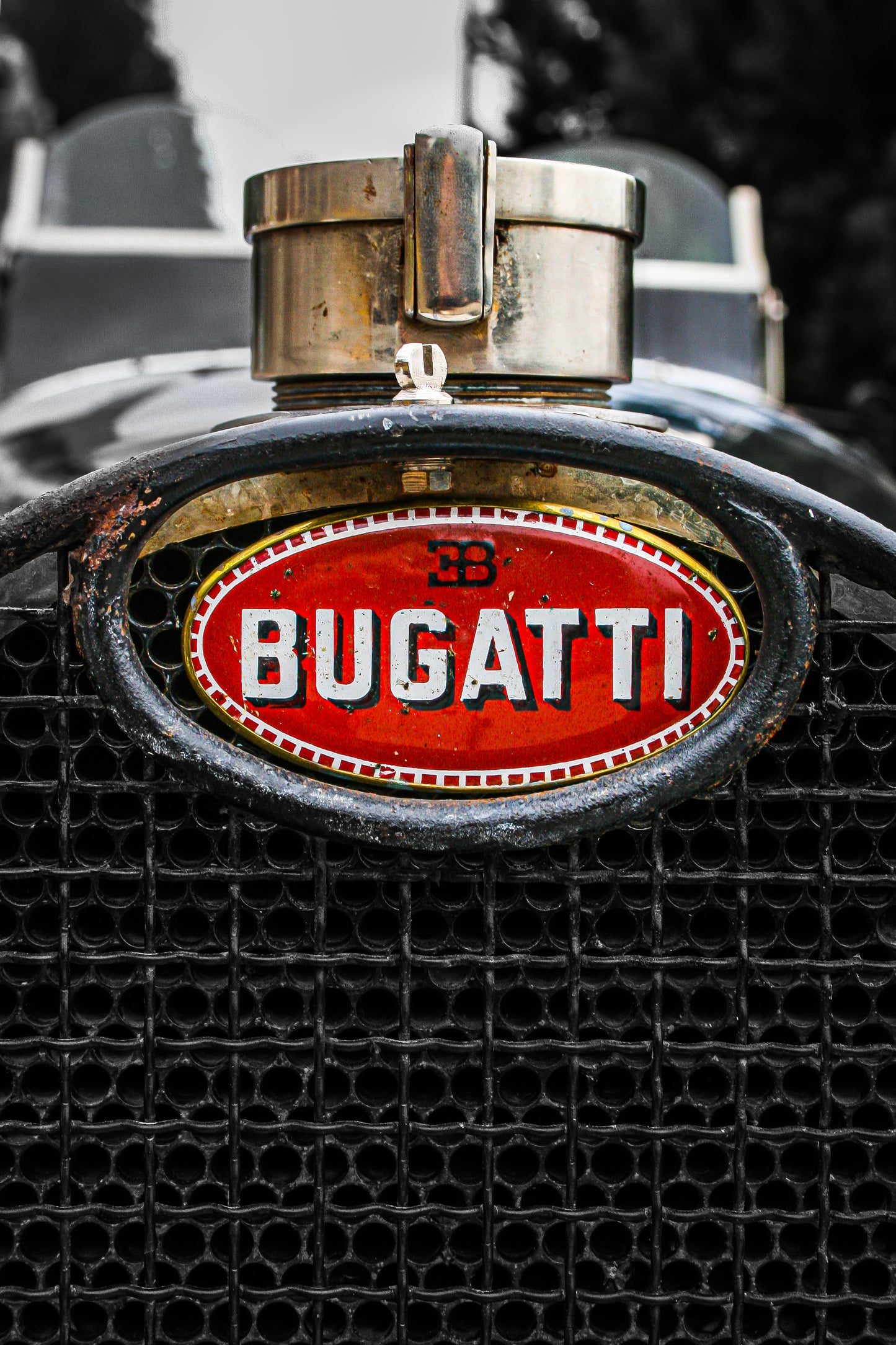 Master Product Vivian J. Rheinheimer