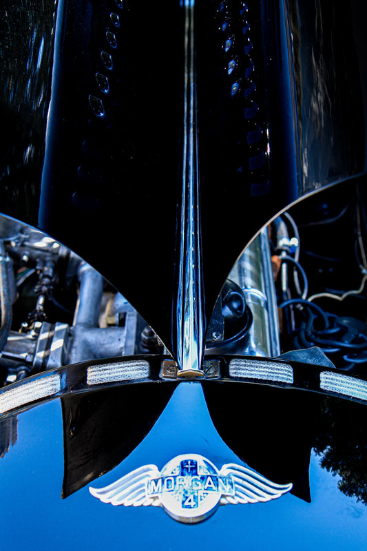 Master Product Vivian J. Rheinheimer