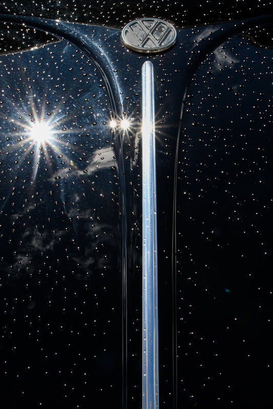 Master Product Vivian J. Rheinheimer