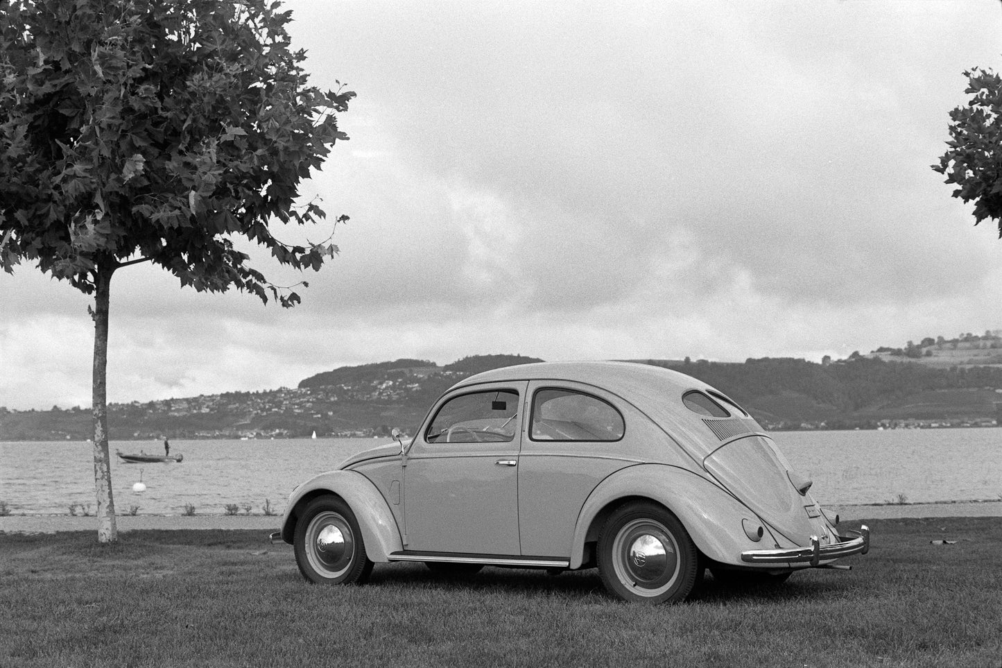 VW Beetle Pretzel Beetle