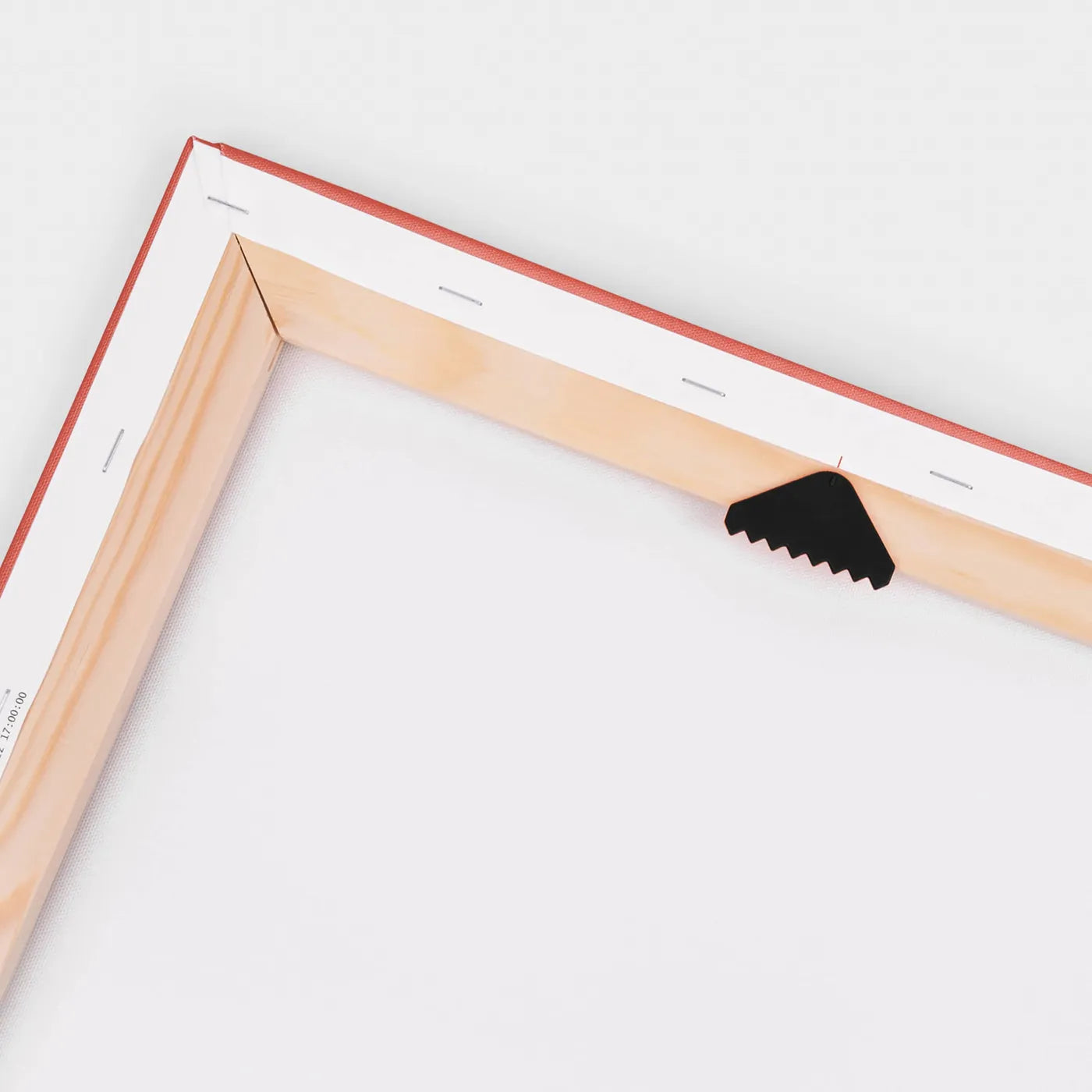 Rückseiten-Ansicht der Leinwand-Variante