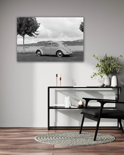 VW Beetle Pretzel Beetle